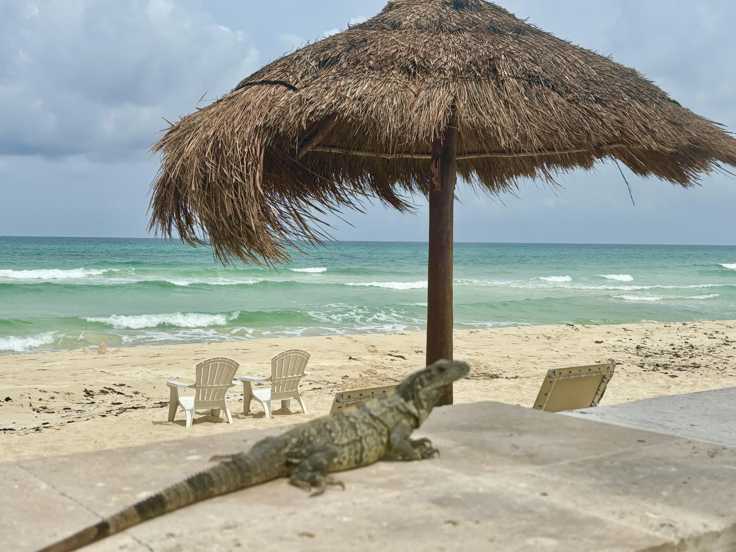 beachvillasuites