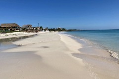 IMG_0908