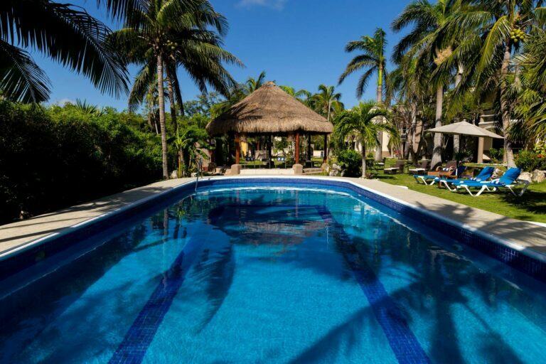 Cenote-like pool with palm trees